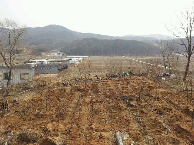 c8bc8740600ebd1d6a3f5dfbaef434cd_1583636