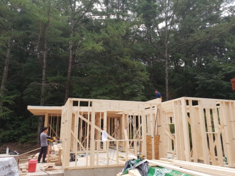 886d3d1442935d37e7668ad35a8ec5d3_1584558