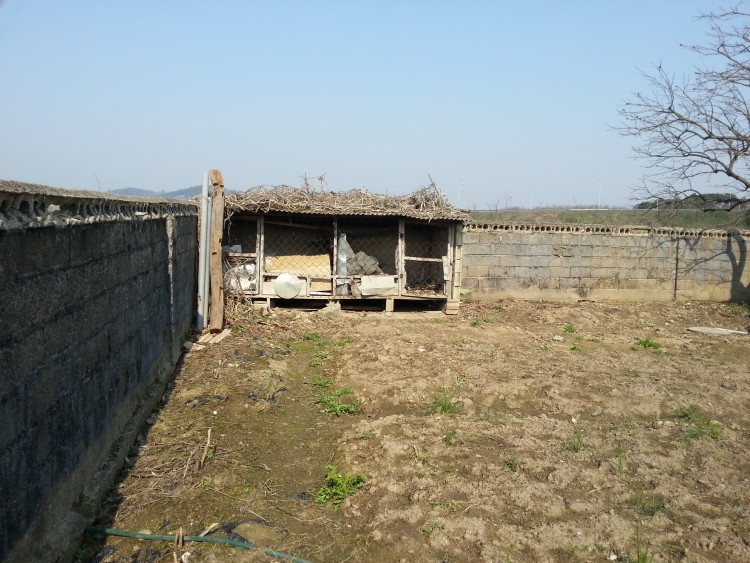 bbacdb2244c9cfa09ef4958a04aaf0f0_1584025