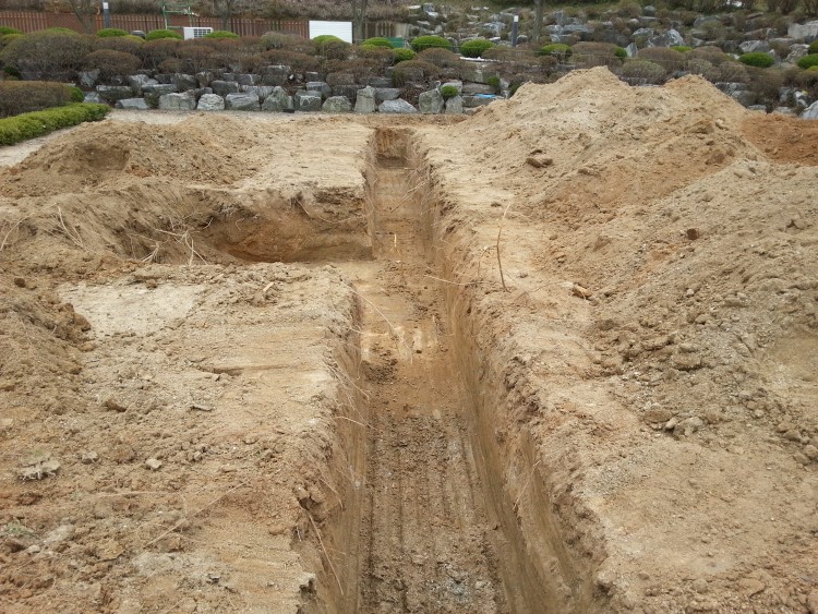 bbacdb2244c9cfa09ef4958a04aaf0f0_1584025