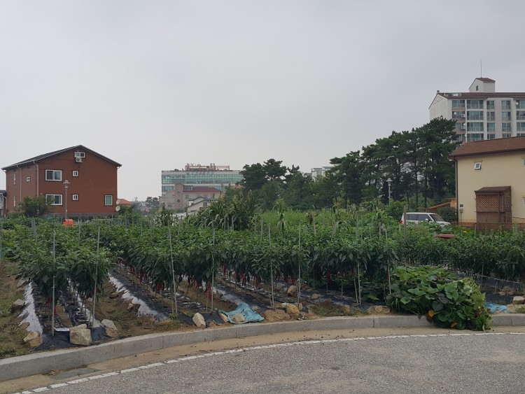 bbacdb2244c9cfa09ef4958a04aaf0f0_1584030