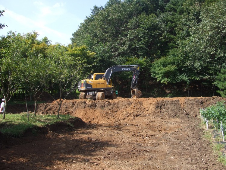 c8bc8740600ebd1d6a3f5dfbaef434cd_1583628