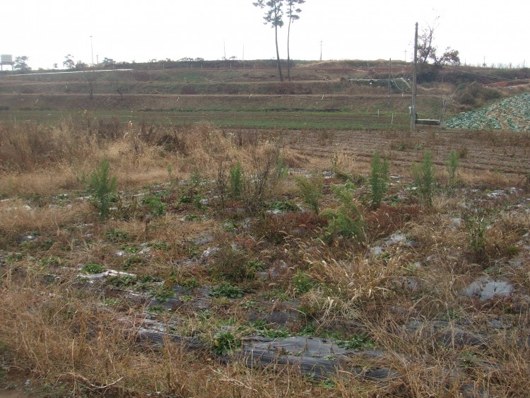 c8bc8740600ebd1d6a3f5dfbaef434cd_1583635