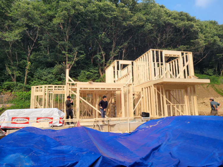 3312efbdf1620dfaa7714c2be3242905_1650202