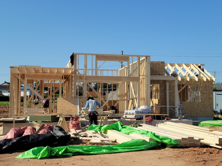 3312efbdf1620dfaa7714c2be3242905_1650205