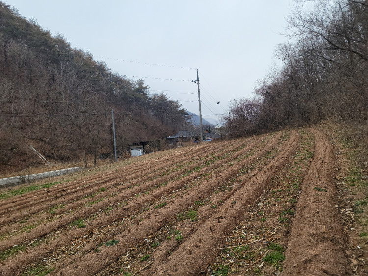 7f1bba69436734945c79cdec563cbac7_1651151