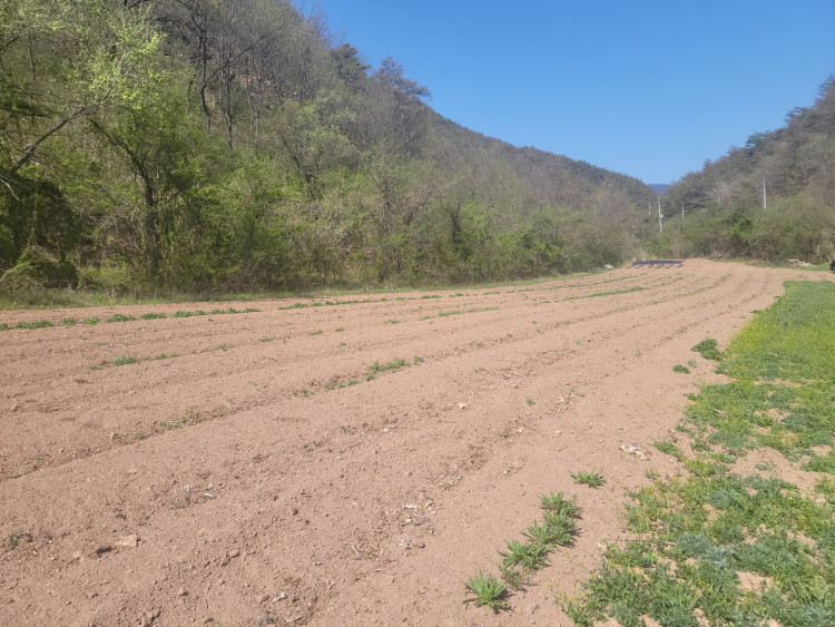 7f1bba69436734945c79cdec563cbac7_1651151